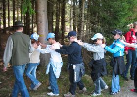 Forest Education Programs